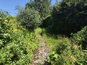 Rear Garden- click for photo gallery